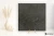 Porcelanosa Bottega Antracita L 59.6x59.6 - płytka imitująca beton