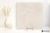 Porcelanosa Saddle Caliza 120x120 - płytka imitująca kamień