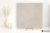 Porcelanosa Savannah Caliza 120x120 - płytka imitująca kamień