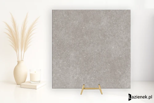 Przejdź do produktu Porcelanosa Verbier Silver matowa 59.6x59.6 cm gr. 10 mm - płytka rektyfikowana / 100324749
