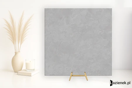 Ascot Ara Stone Grey pół 120x120 - płytka imitująca kamień