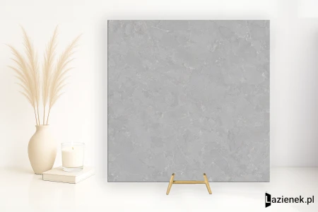 Ascot Ara Stone Grey 90x90 - płytka imitująca kamień