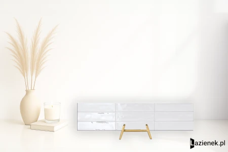 Ascot Oita White błyszcząca 6x25 - płytka dekoracyjna