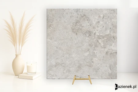 Ascot Signature Stone Grey 60x60 - płytka imitująca kamień