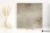 52aa177040183d92cf13c10385ecf48b