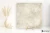 78ad8343aaad25397969e04cb2afd400