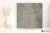 9d4a29ff504b7ecbd62a29df807be74e