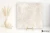 efc1190bc0c0a2adc9856f4804e746da