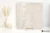 505dea5cb9ae13c6b1cbb9cc8108bc7d