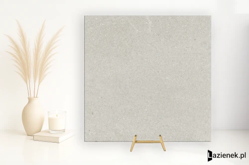 Przejdź do produktu Rondine Baltic Light Grey matowa 60x60 cm gr. 9 mm - płytka rektyfikowana / J89772