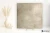 215e85351d1a00575e653f781ffc622f