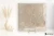 1ef2194ad9be1742cd1a14b2aedeec92