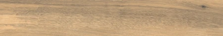 19e1c53ff57d273694dd1ca5f66ad6eb