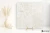 Colorker Bella Stone Bone 59.5x59.5 - płytka imitująca kamień