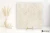 Colorker Bella Stone Cream antypoślizgowa 120x120 - płytka imitująca kamień