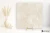 Colorker Bella Stone Cream 90x90 - płytka imitująca kamień
