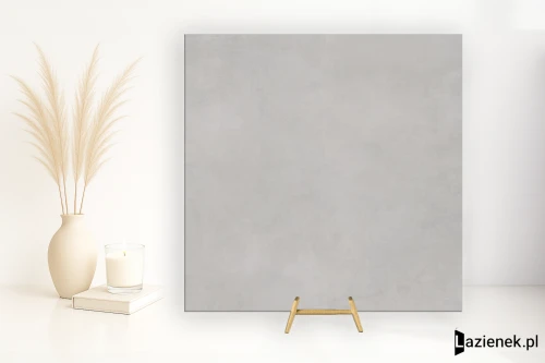 Przejdź do produktu Colorker Boxer Grey matowa 120x120 cm gr. 10 mm - płytka rektyfikowana / 227807