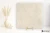 Colorker Legacy Beige 59.5x59.5 - płytka imitująca beton