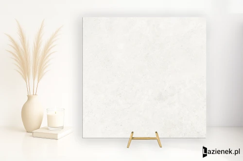 Przejdź do produktu Colorker Liberty Moon matowa 59.5x59.5 cm gr. 10 mm - płytka rektyfikowana / 222571