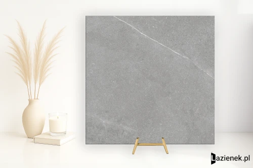 Przejdź do produktu Colorker Madison Argent matowa 59.5x59.5 cm gr. 10 mm - płytka rektyfikowana / 218159
