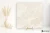 Colorker Muse Ivory 59.5x59.5 - płytka imitująca marmur
