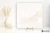Colorker Muse White 59.5x59.5 - płytka imitująca marmur