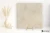 Colorker Neolitick Caramel 59.5x59.5 - płytka imitująca kamień