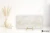 Colorker Nuance Beige błyszcząca 29.5x59.5 - płytka imitująca beton