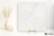 Colorker Sky White 59.5x59.5 - płytka imitująca marmur