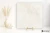 Colorker Solange Cream 14.7x14.7 - płytka imitująca kamień