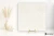 Colorker Solange Cream 59.5x59.5 - płytka imitująca kamień
