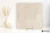 Fondovalle Alpine Silk Cross 80x80 - płytka imitująca kamień