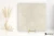 Fondovalle Pigmento Gesso naturalna 120x120 - płytka imitująca beton