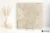 Fondovalle Reframe Ivory naturalna 120x120 - płytka imitująca beton
