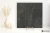 Coem Blendstone Graphite 60x60 - płytka imitująca kamień