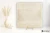 Coem English Stone Ivory zewnętrzna antypoślizgowa 60.4x60.4 - płytka imitująca kamień