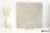 Coem Goldenstone Grey 60.4x60.4 - płytka imitująca kamień