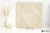 Coem Medicea Beige polerowano- 60.4x60.4 - płytka imitująca kamień