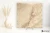 Coem Quartz Gold strukturalna 15.25x15.25 - płytka imitująca kamień