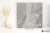Coem Quartz Silver strukturalna 15.25x15.25 - płytka imitująca kamień