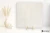 Coem Reverso2 White 60x60 - płytka imitująca kamień