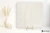 Coem Reverso2 White patynowana 60x60 - płytka imitująca kamień