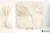 Coem Touch Stone Gold 60.4x60.4 - płytka imitująca marmur