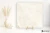 Coem Touch Stone White polerowano- 60.4x60.4 - płytka imitująca marmur