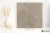 Coem Versatile Stone Argilla 120.8x120.8 - płytka imitująca kamień