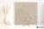 Coem Versatile Stone Beige 90.6x90.6 - płytka imitująca kamień