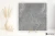 Coem Wide Gres Cardoso Grigio Scuro 120x120 - płytka drewnopodobna