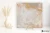 Coem Wide Gres Onice Effect Cloudy Grey 120x120 - płytka drewnopodobna