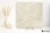 Coem Wide Gres Onice Effect Crystal White 120x120 - płytka drewnopodobna