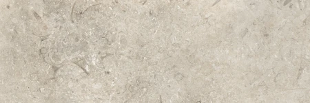 Coem Goldenstone Grey 30.2x90.6 - płytka imitująca kamień